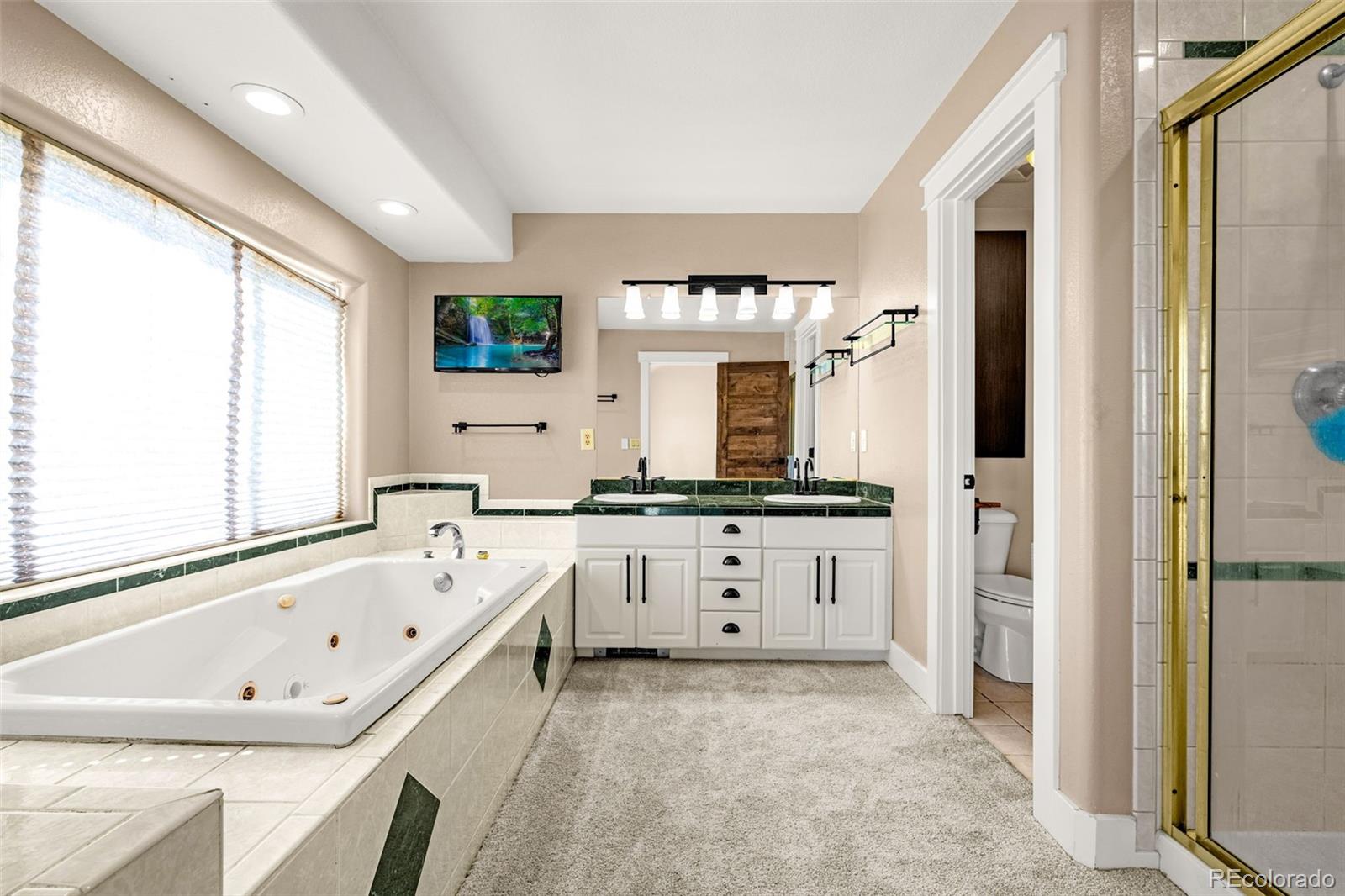 78 Moss Rock Drive Divide CO 80814