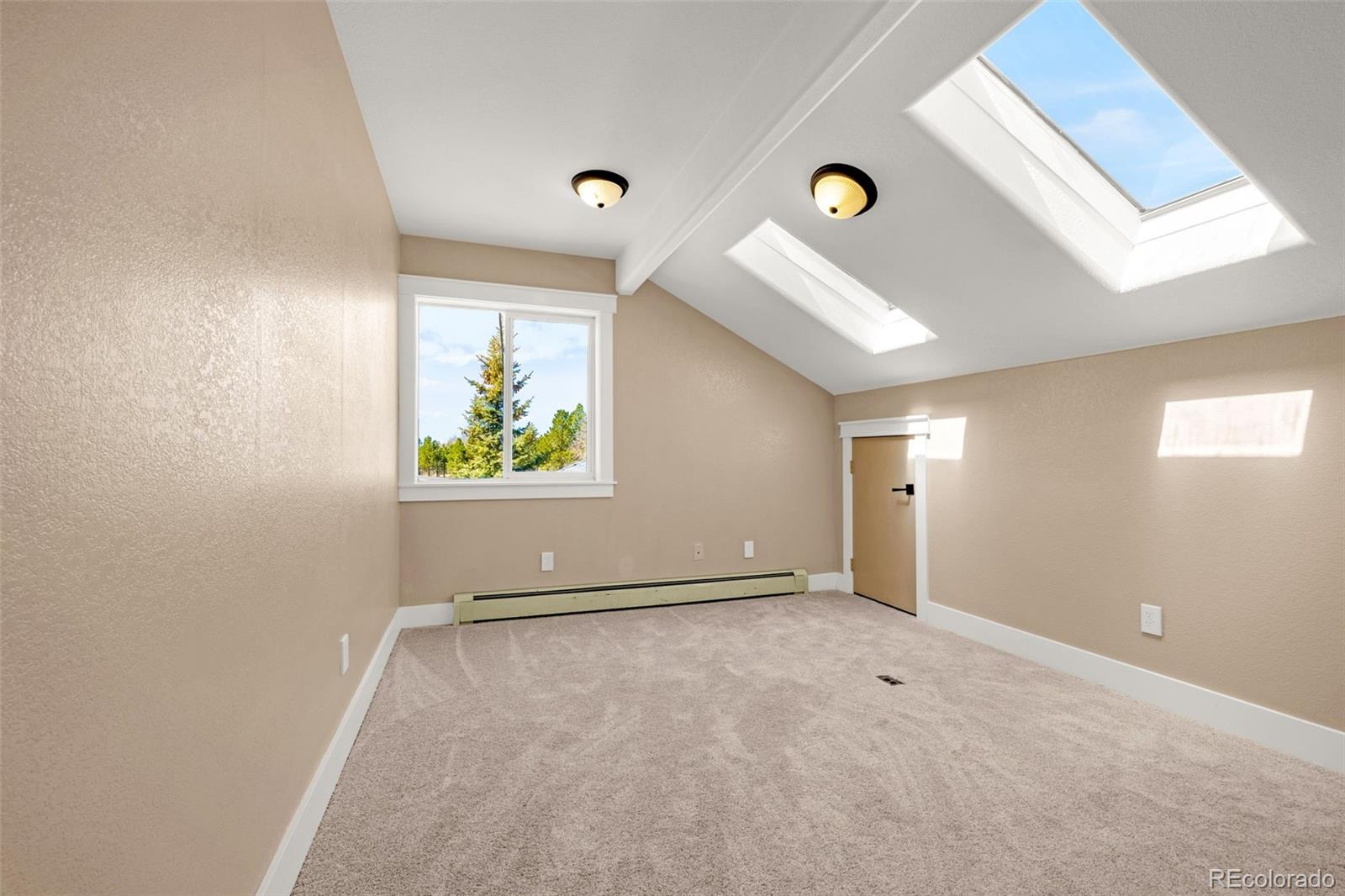 78 Moss Rock Drive Divide CO 80814