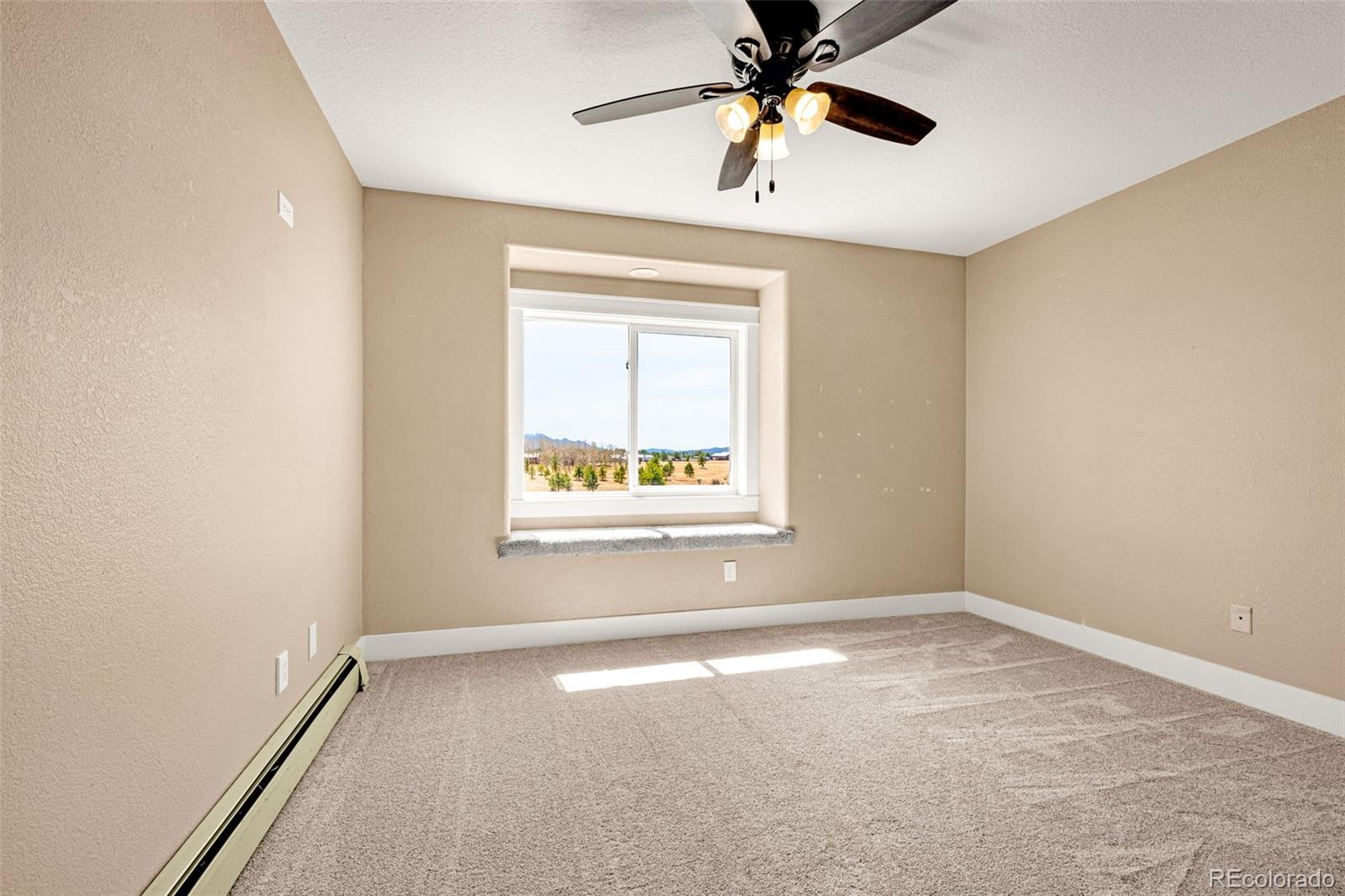 78 Moss Rock Drive Divide CO 80814