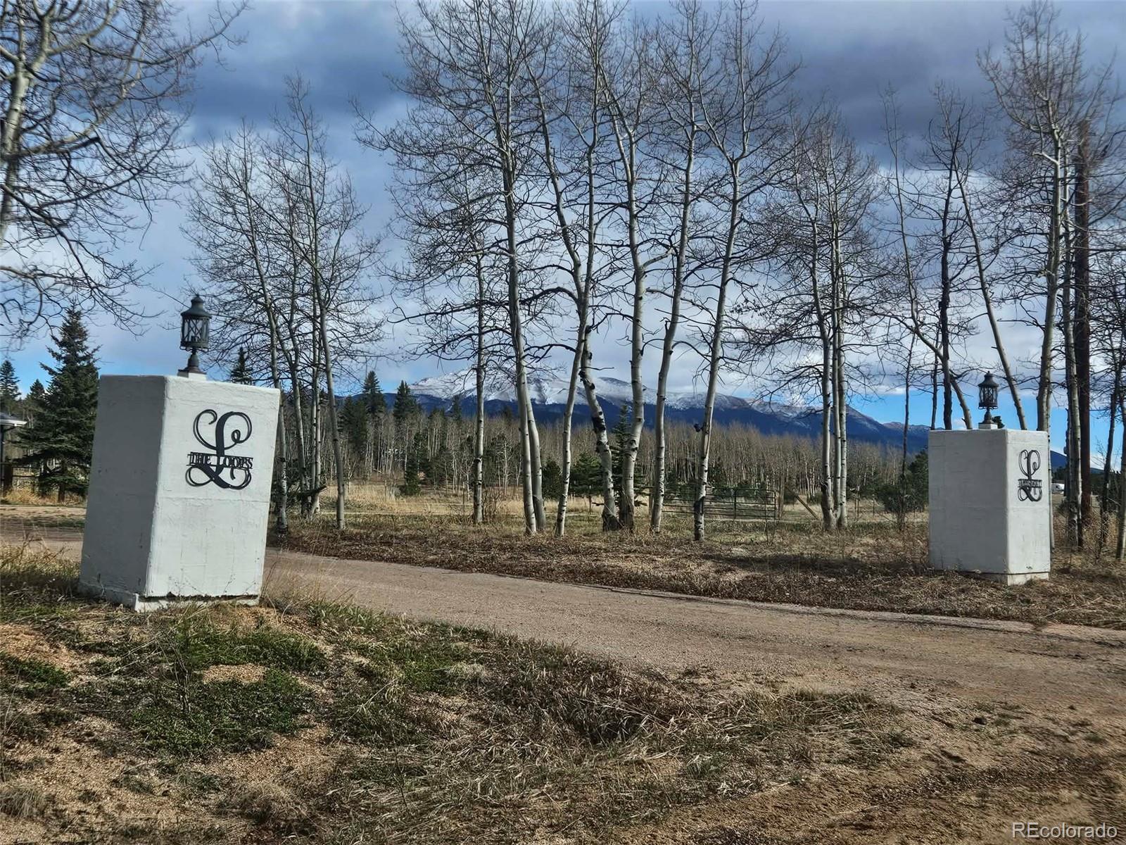 78 Moss Rock Drive Divide CO 80814