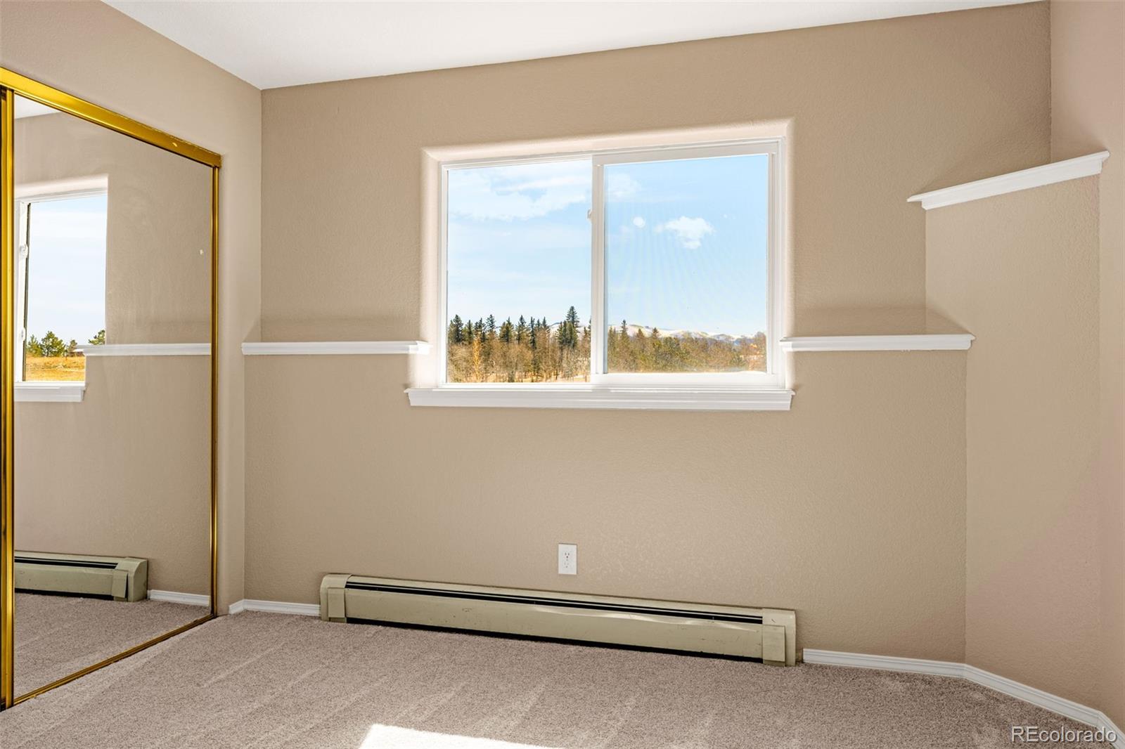 78 Moss Rock Drive Divide CO 80814