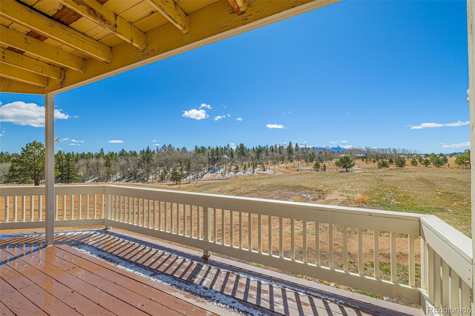 78 Moss Rock Drive Divide CO 80814