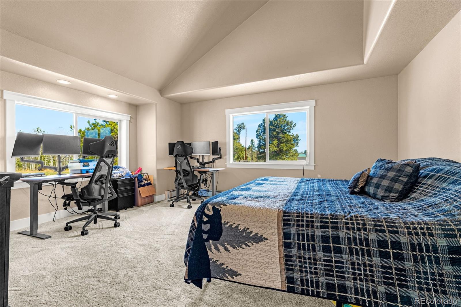 78 Moss Rock Drive Divide CO 80814