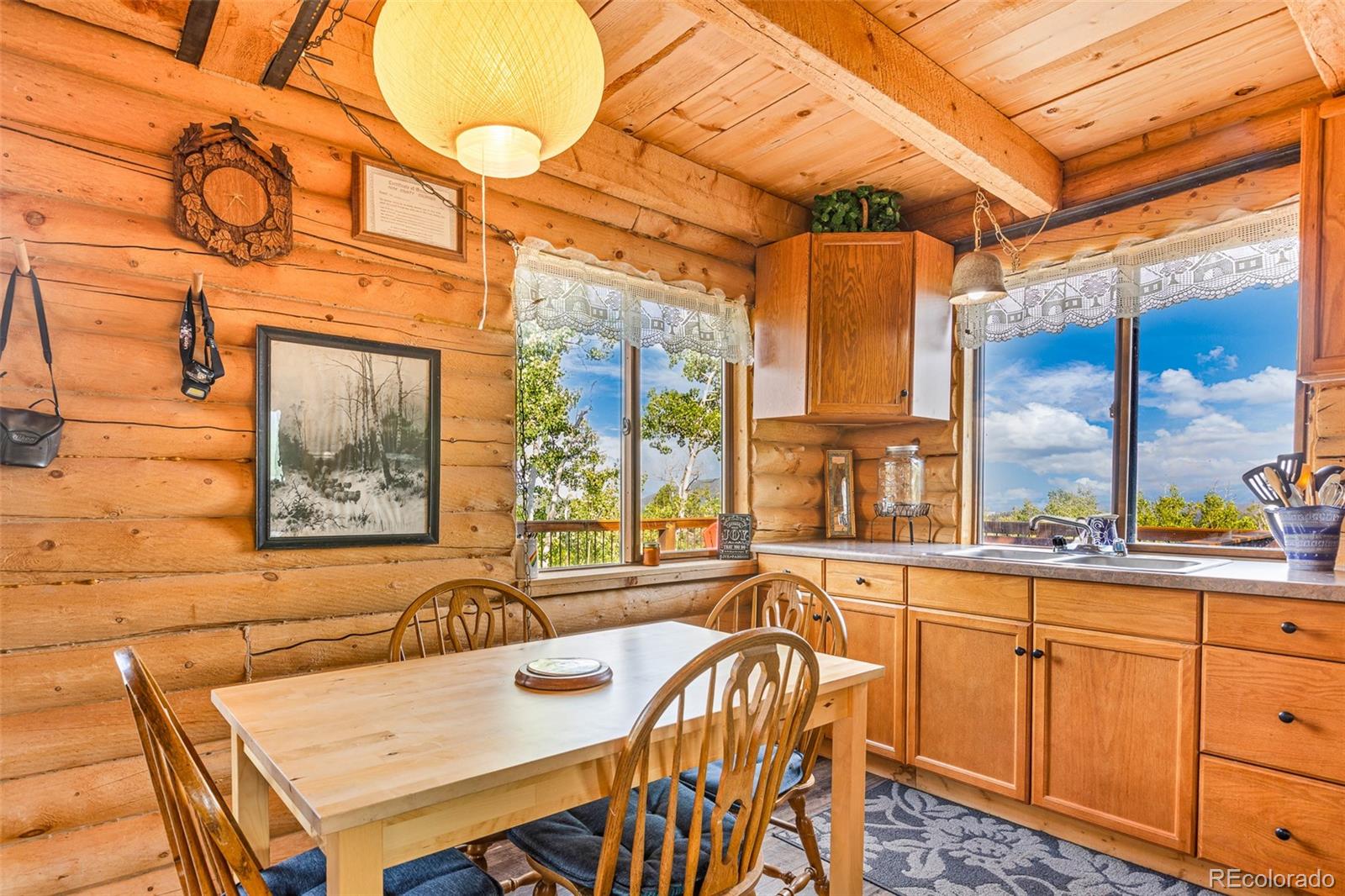 210 Pine Ridge Road Fairplay CO 80440