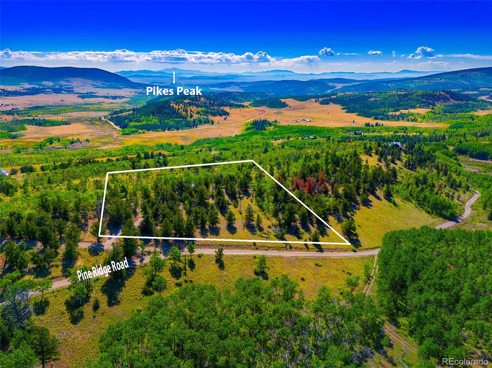 210 Pine Ridge Road Fairplay CO 80440