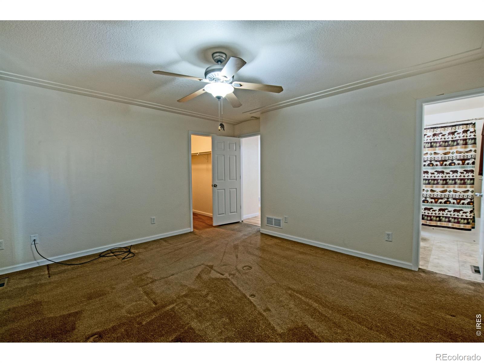 6937 Raleigh Street Wellington CO 80549