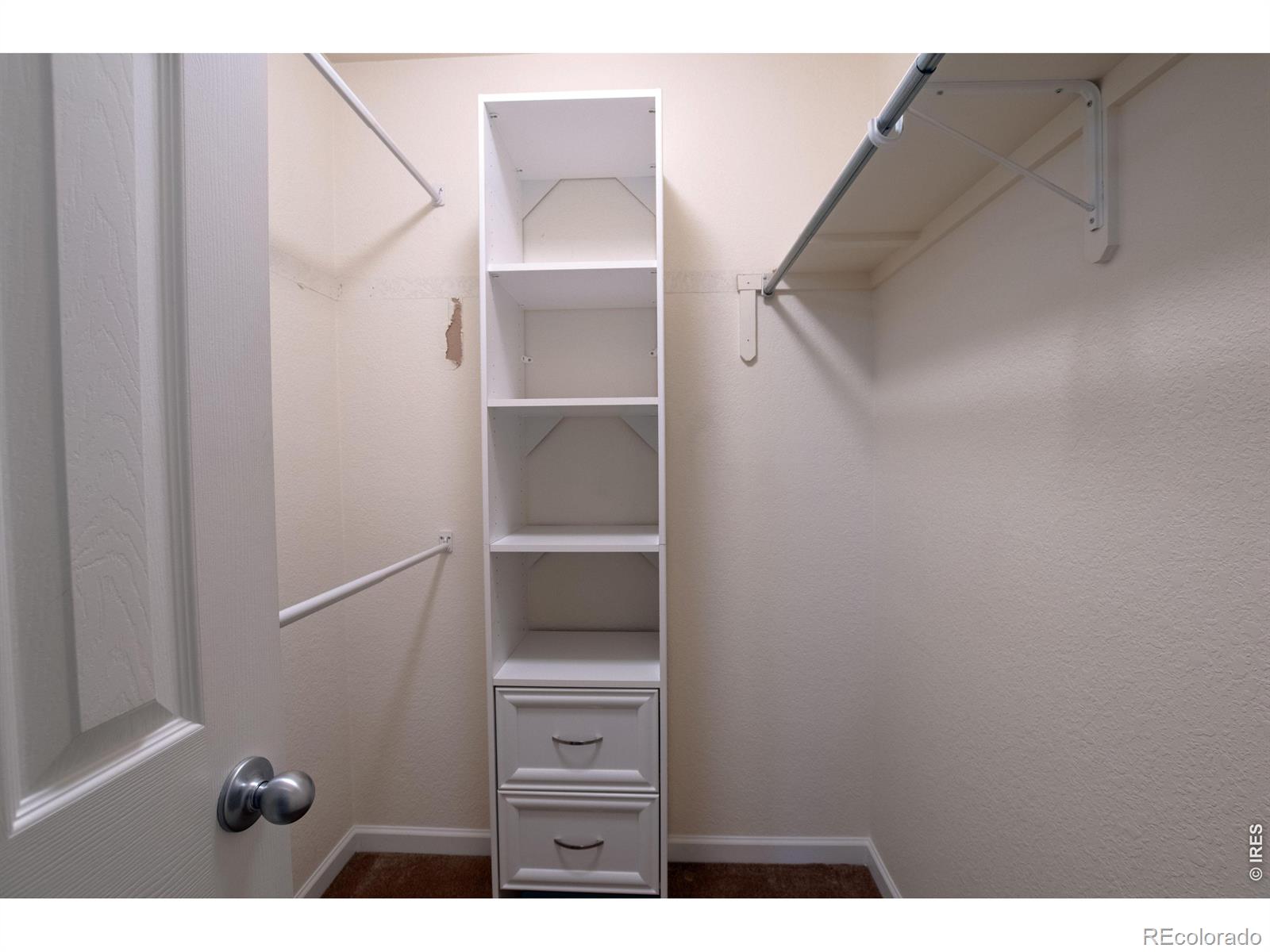 6937 Raleigh Street Wellington CO 80549
