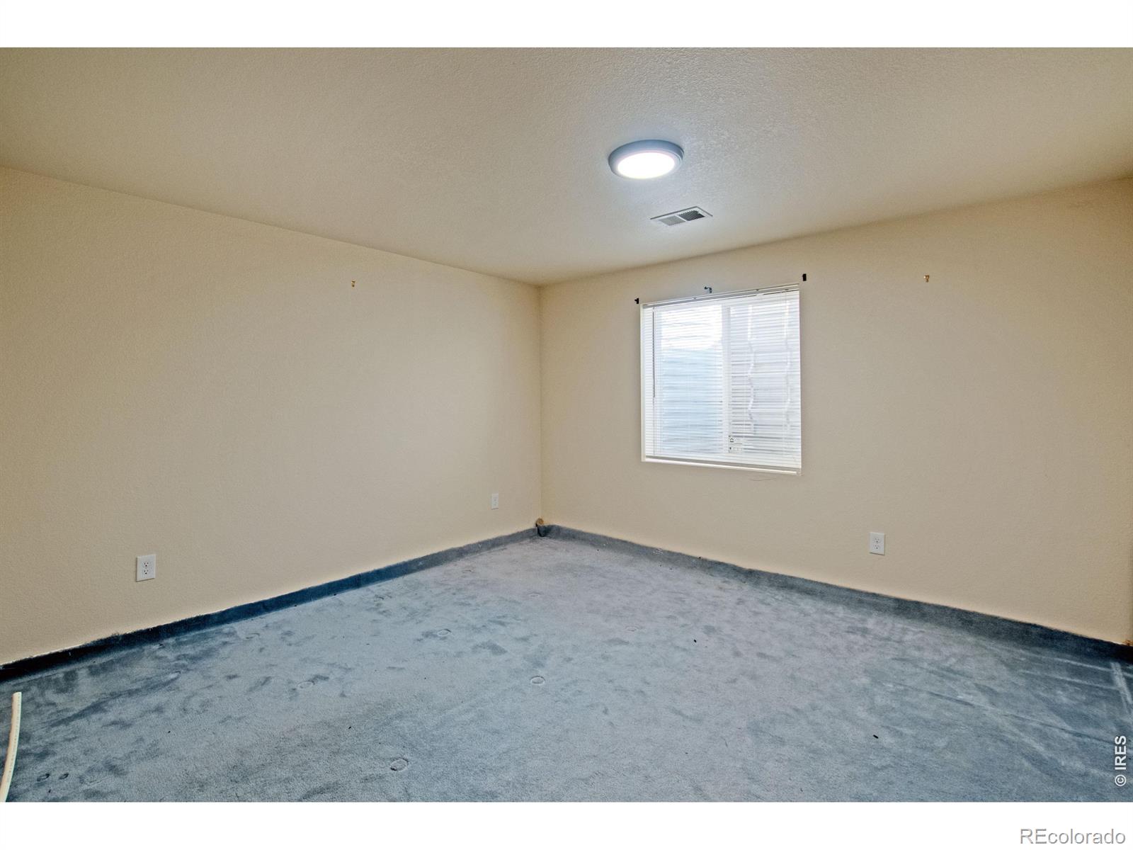 6937 Raleigh Street Wellington CO 80549