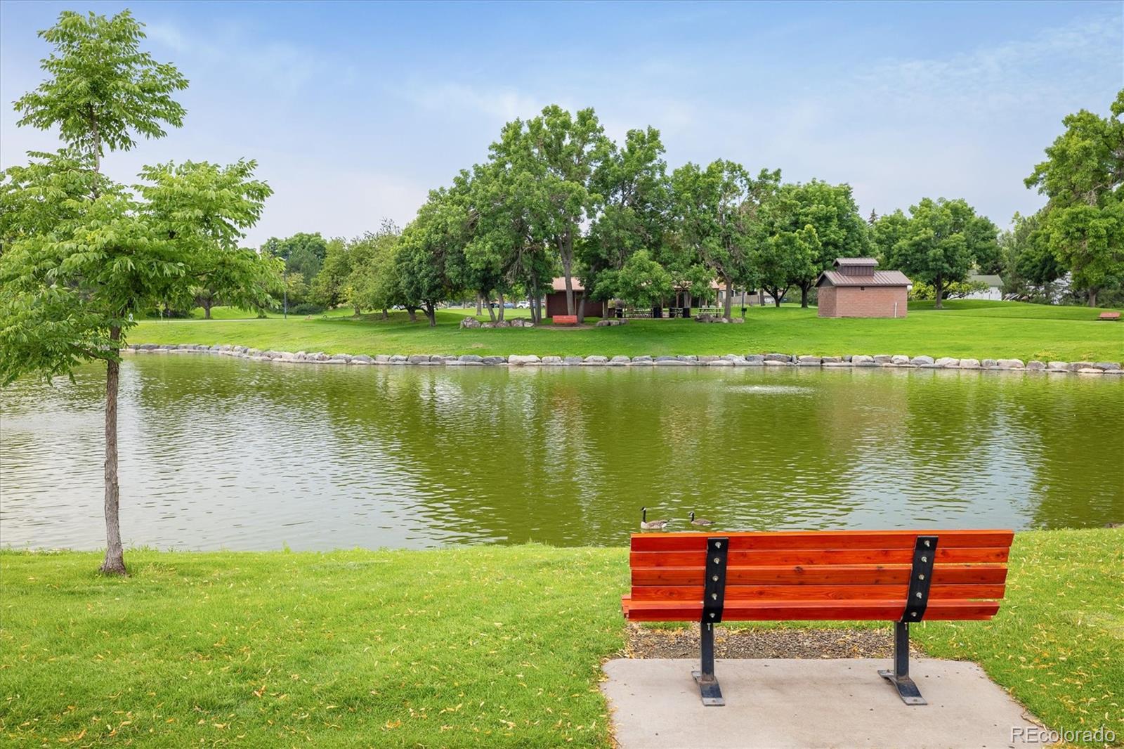 7092 W 4th Avenue Lakewood CO 80226