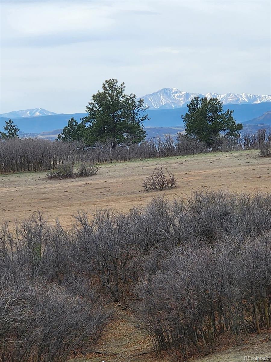 164 Rockingham Circle Castle Pines CO 80108
