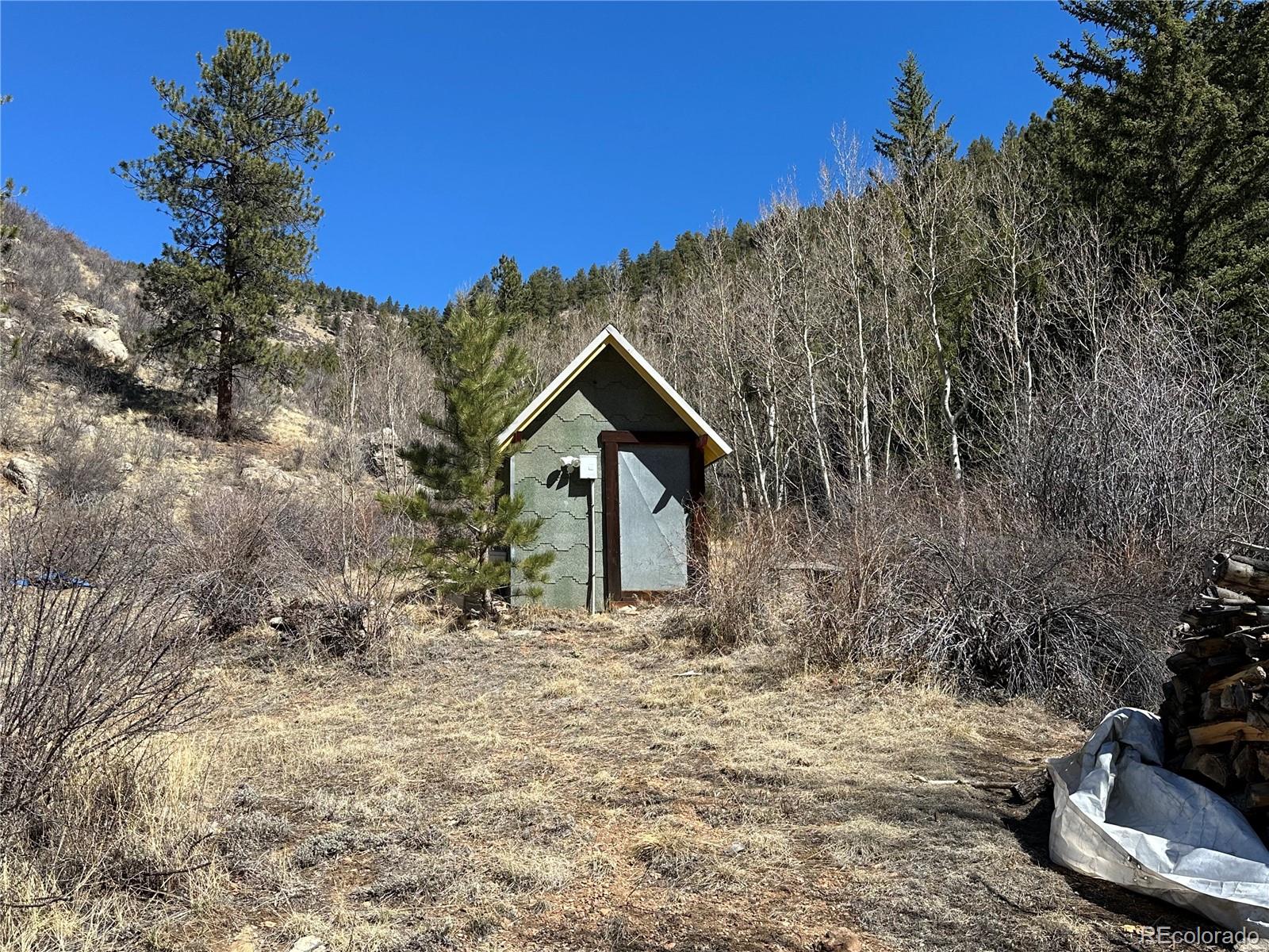 394 County Road 62 Grant CO 80448