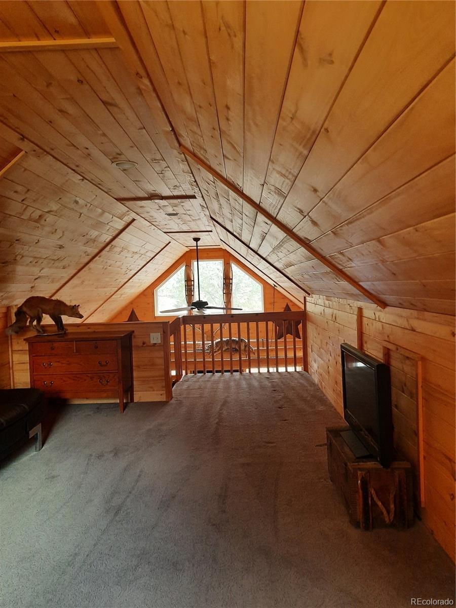 394 County Road 62 Grant CO 80448