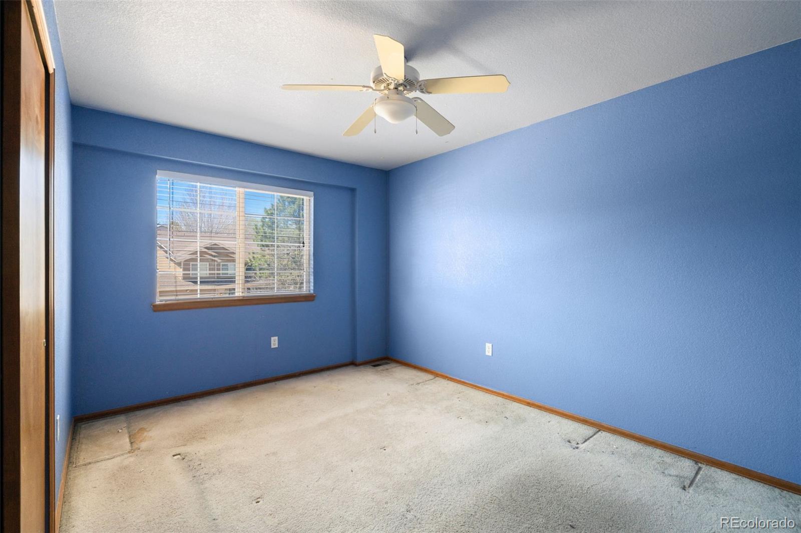 3473 Starflower Road Castle Rock CO 80109