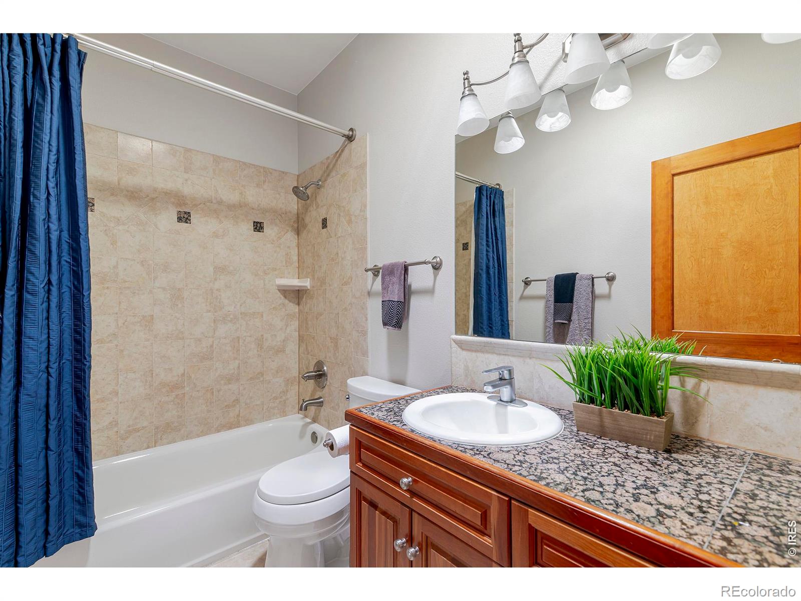 5612 N 115th Street Longmont CO 80504