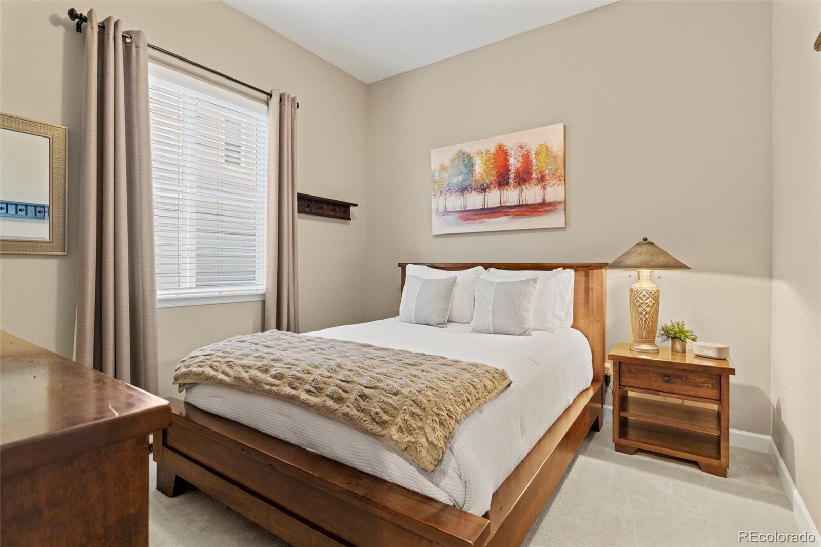 2896 Keepsake Way Castle Rock CO 80109