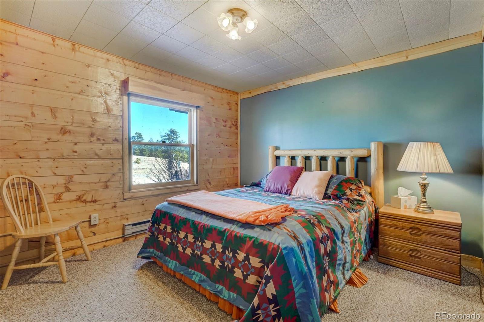 994 Deer Lane Guffey CO 80820