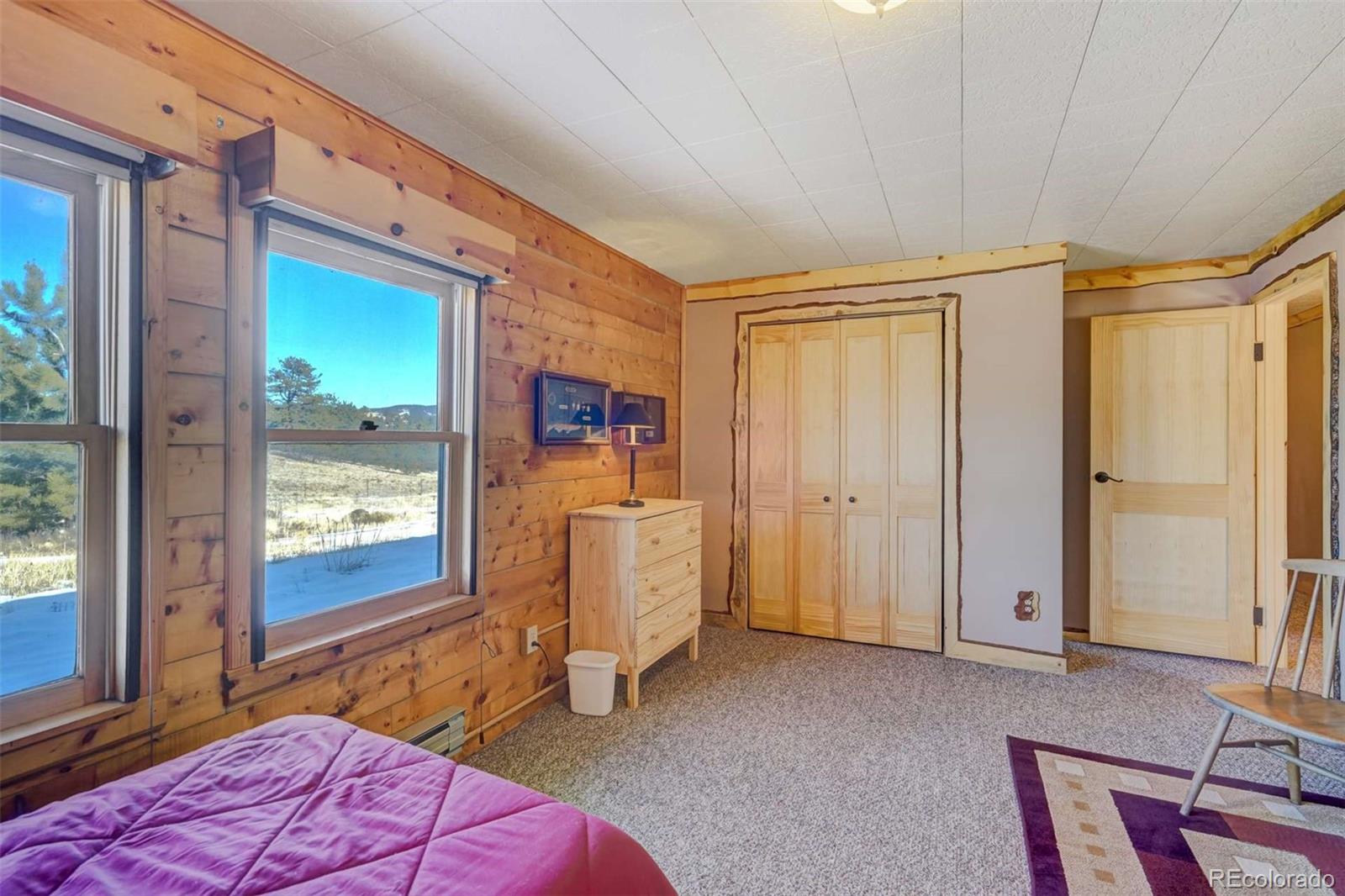 994 Deer Lane Guffey CO 80820