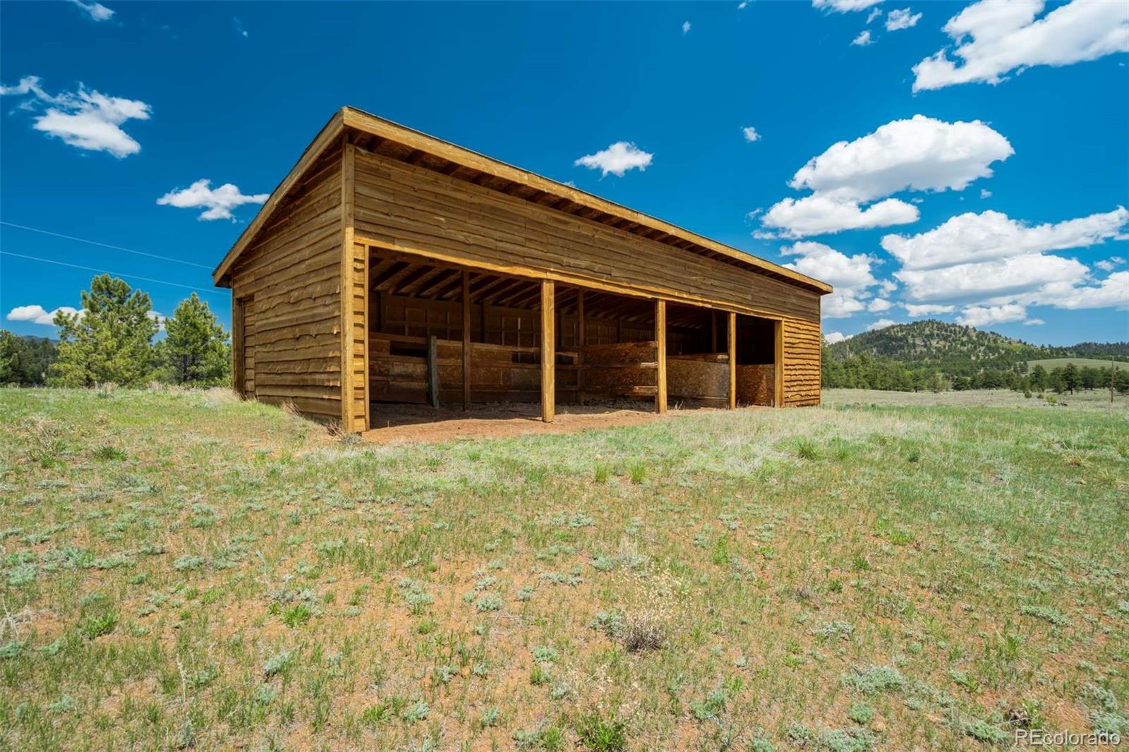 994 Deer Lane Guffey CO 80820