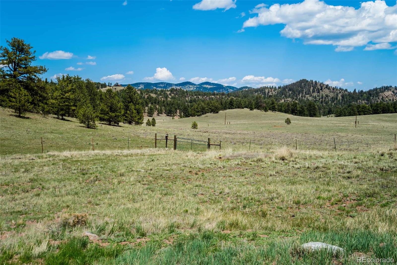 994 Deer Lane Guffey CO 80820