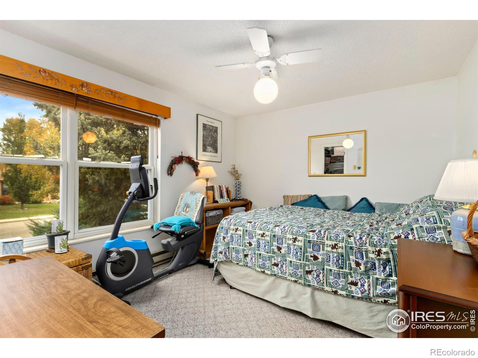 204 E 50th Street Loveland CO 80538