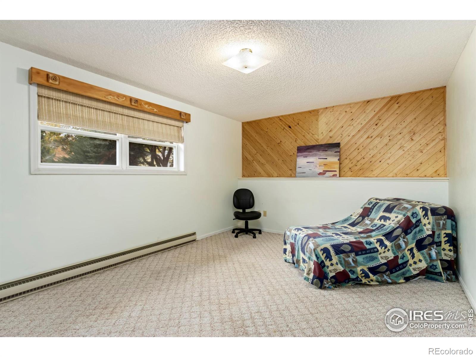 204 E 50th Street Loveland CO 80538