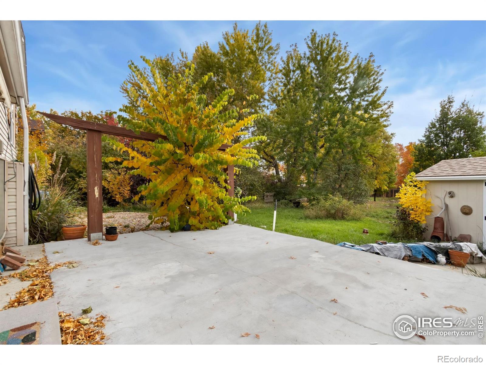 204 E 50th Street Loveland CO 80538
