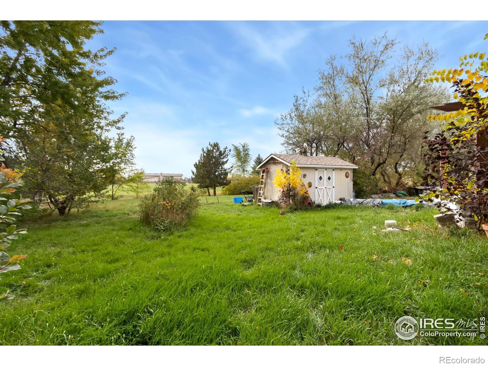 204 E 50th Street Loveland CO 80538