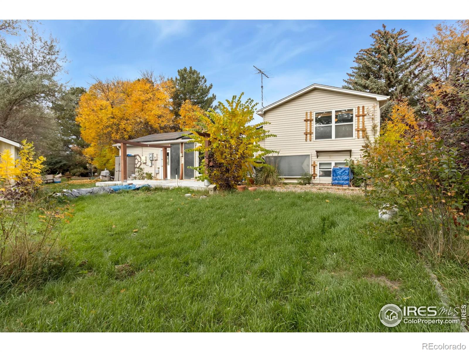 204 E 50th Street Loveland CO 80538