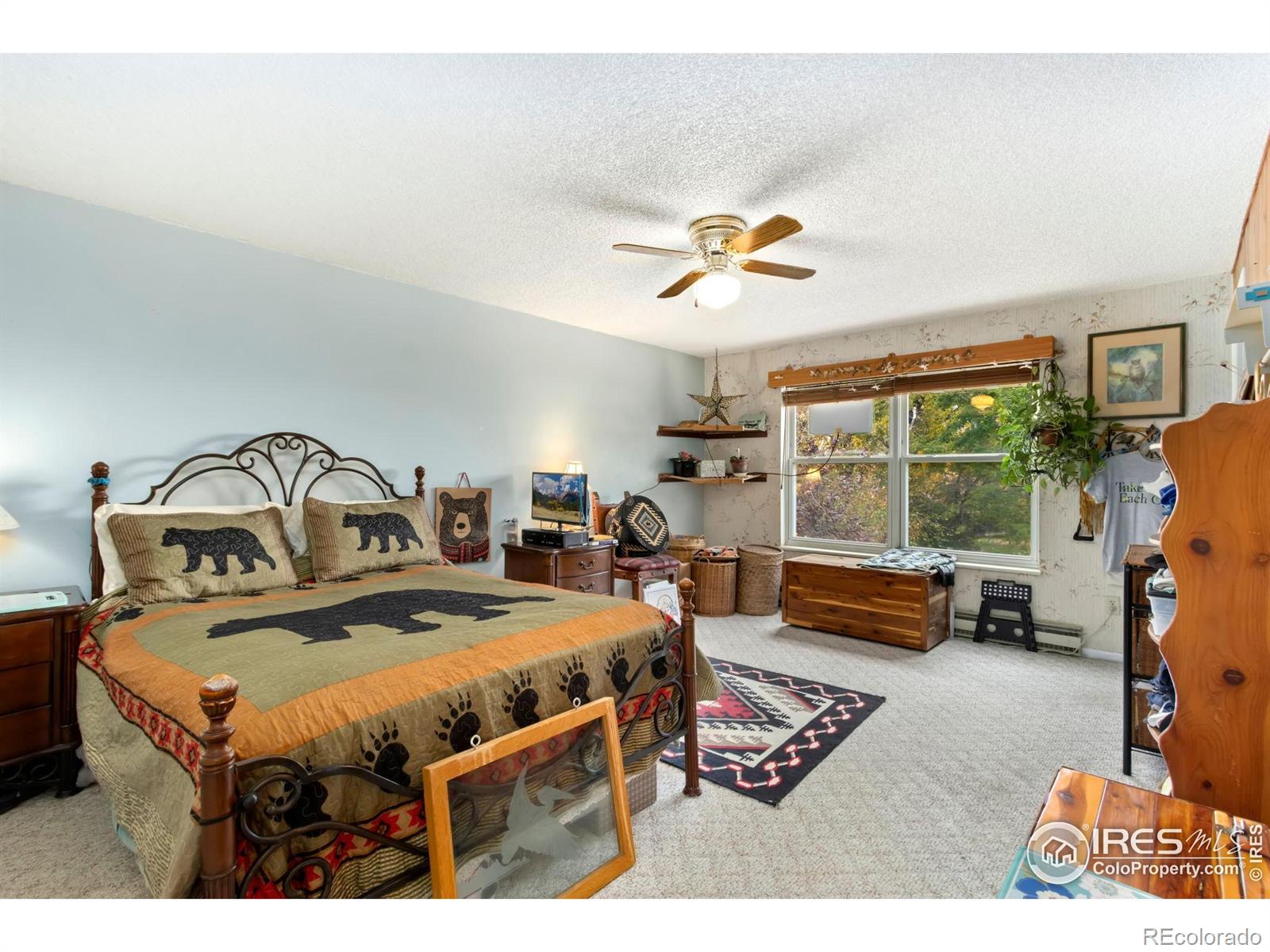 204 E 50th Street Loveland CO 80538