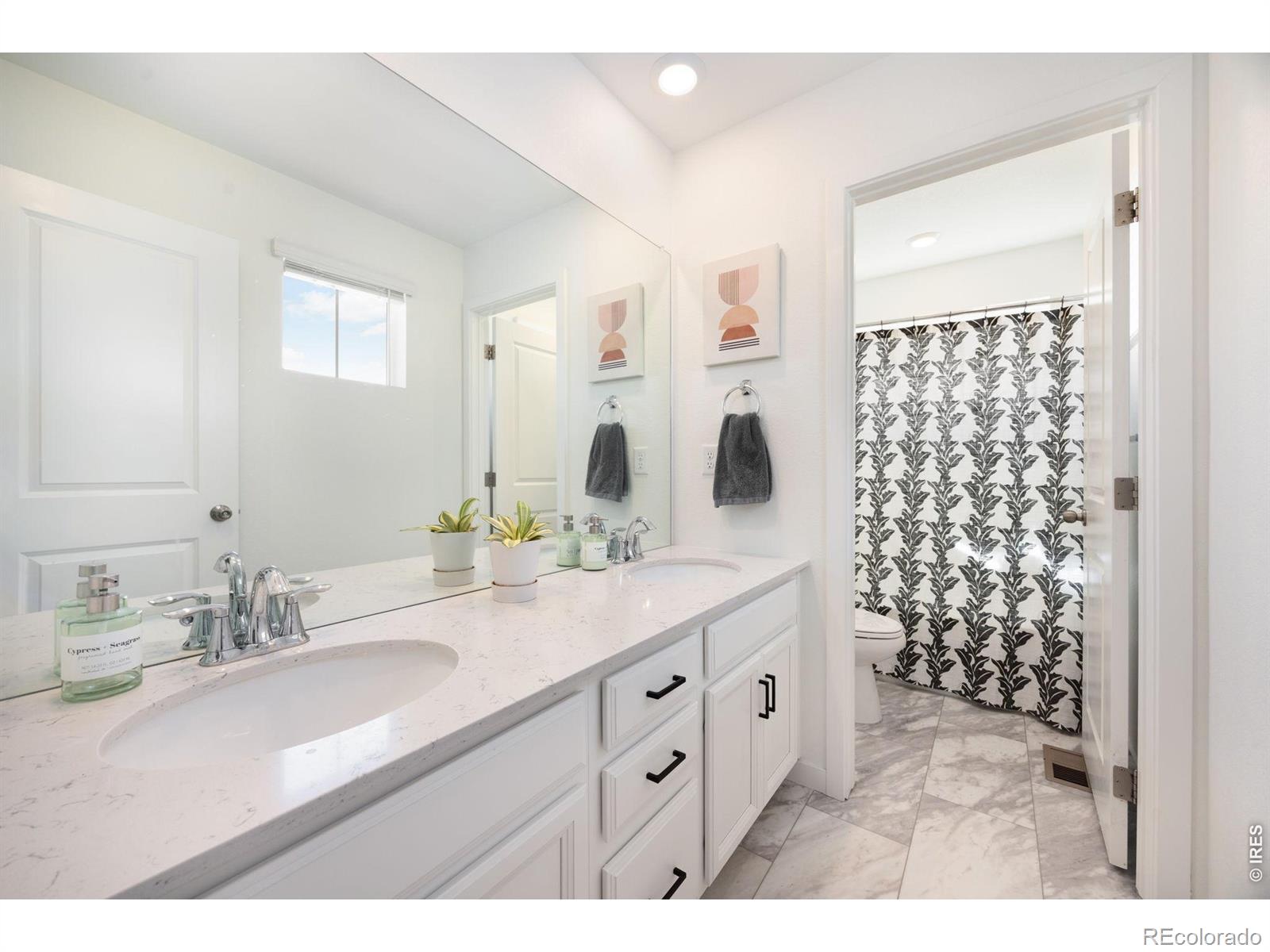 2468 Cabin Creek Avenue Loveland CO 80538