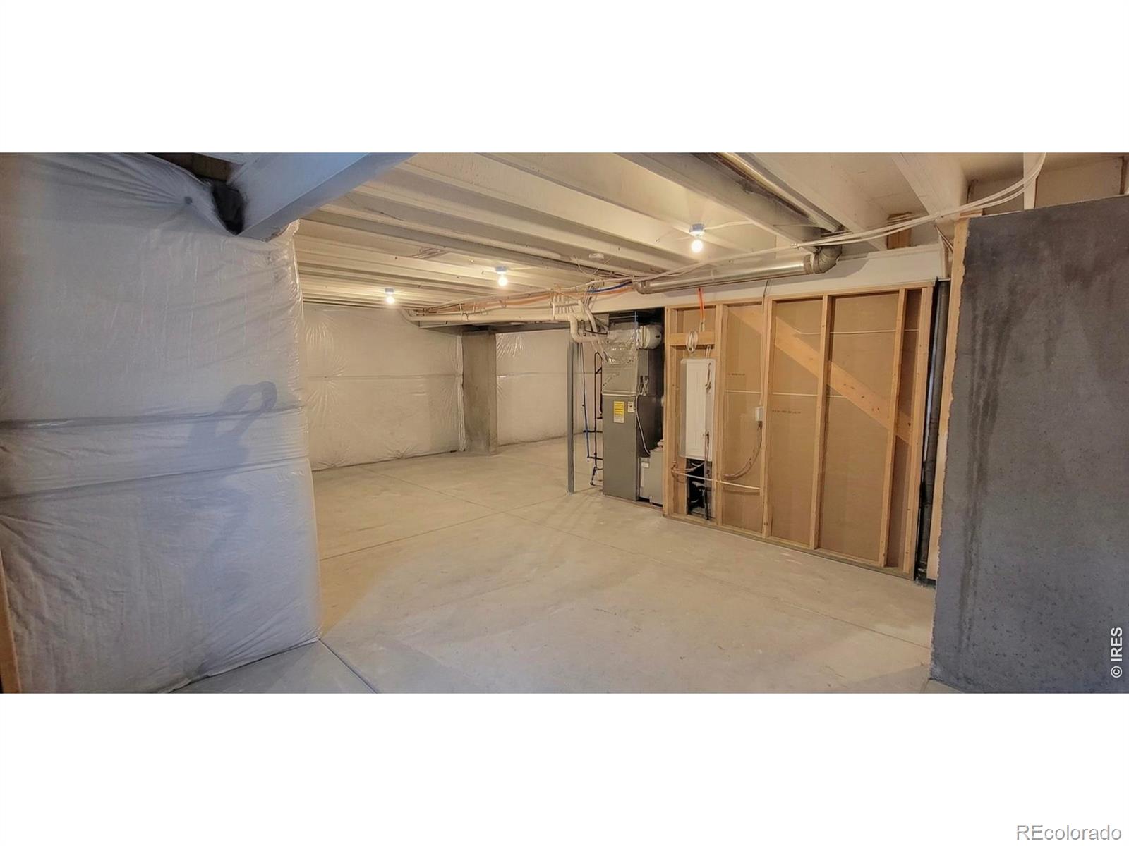 2468 Cabin Creek Avenue Loveland CO 80538
