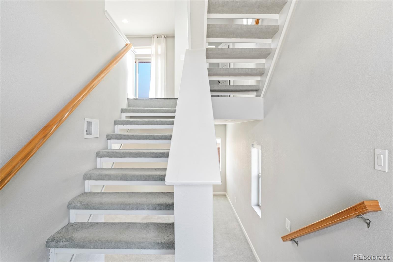 2788 Low Meadow Boulevard Castle Rock CO 80109