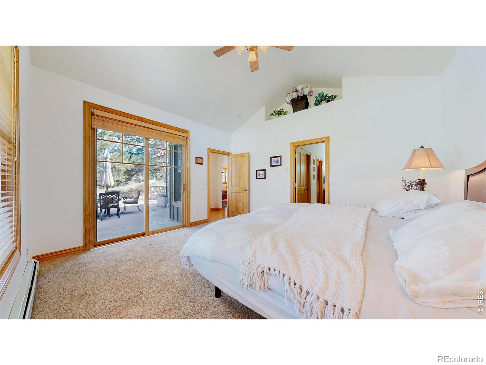 326 Juniper Court Red Feather Lakes CO 80545