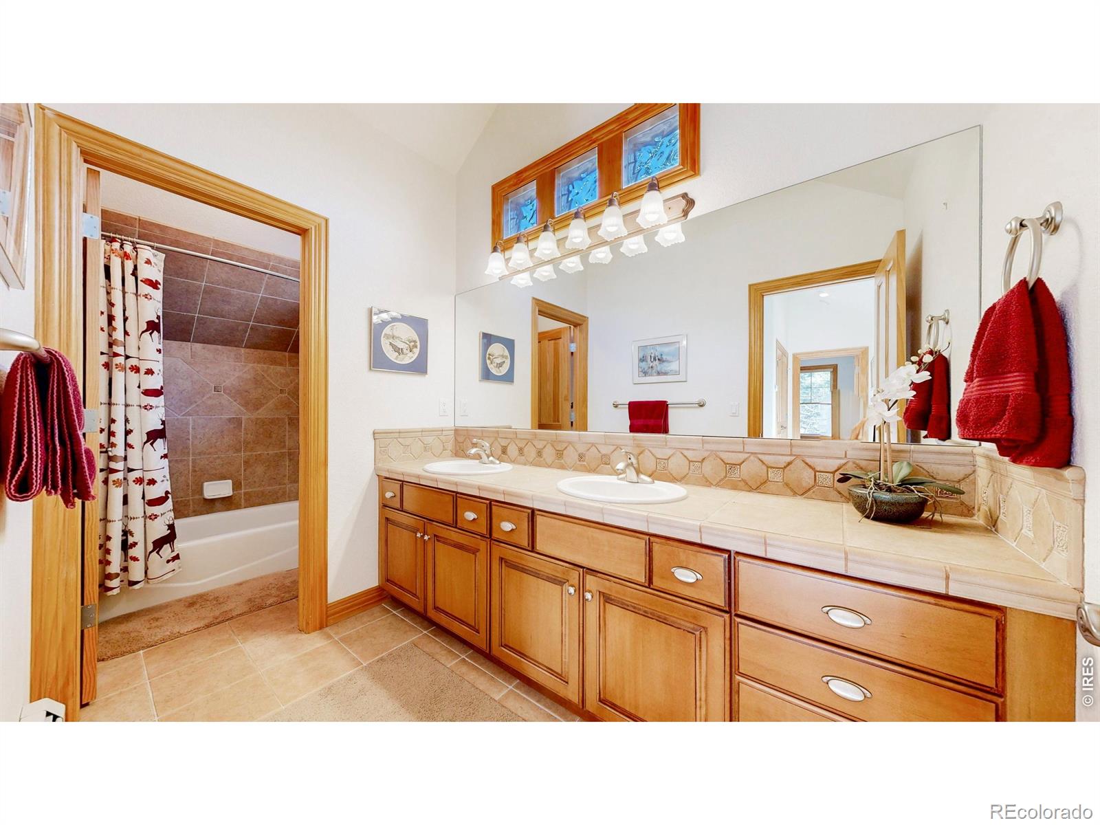 326 Juniper Court Red Feather Lakes CO 80545