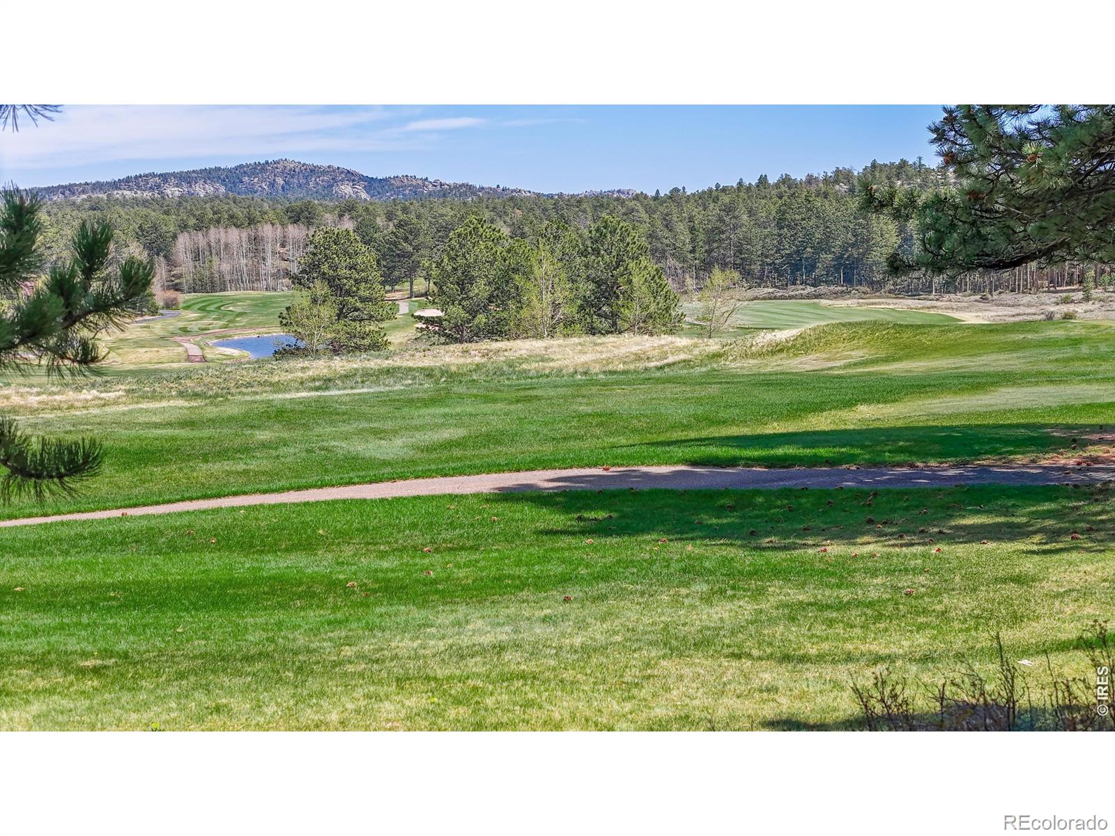 326 Juniper Court Red Feather Lakes CO 80545
