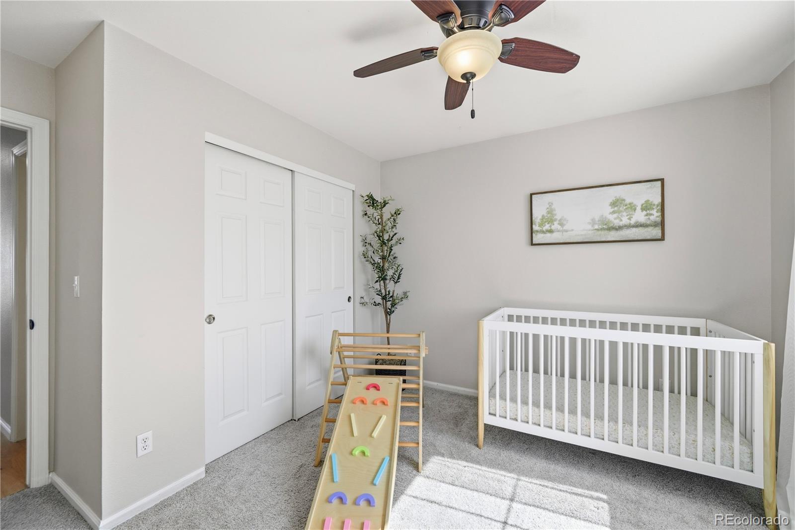17605 Cornish Place Parker CO 80134