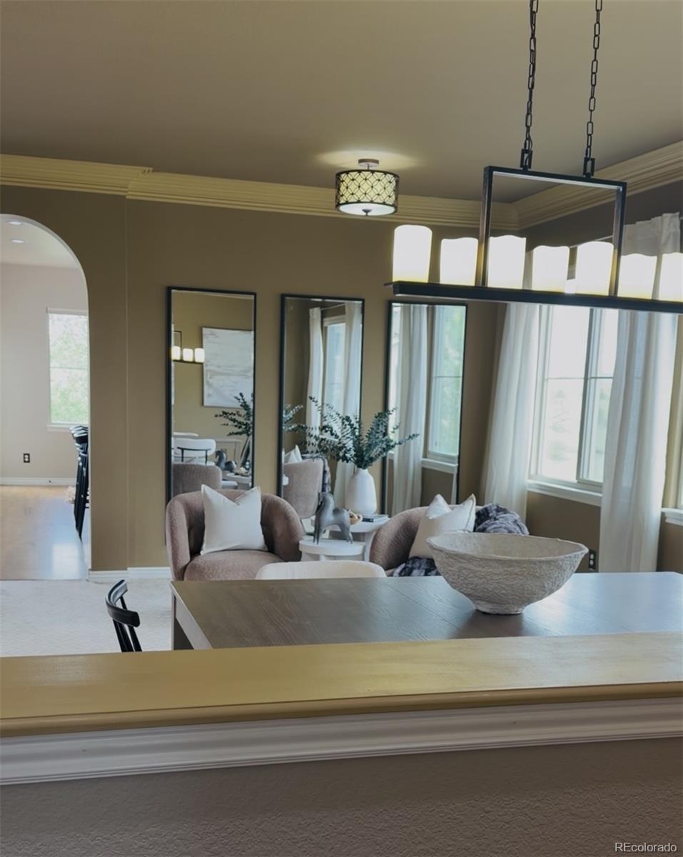 3091 Craig Court Castle Rock CO 80109