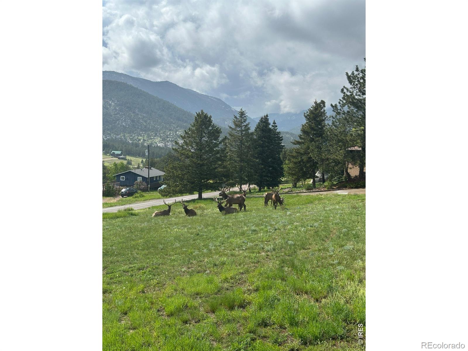 48 Button Rock Road Lyons CO 80540