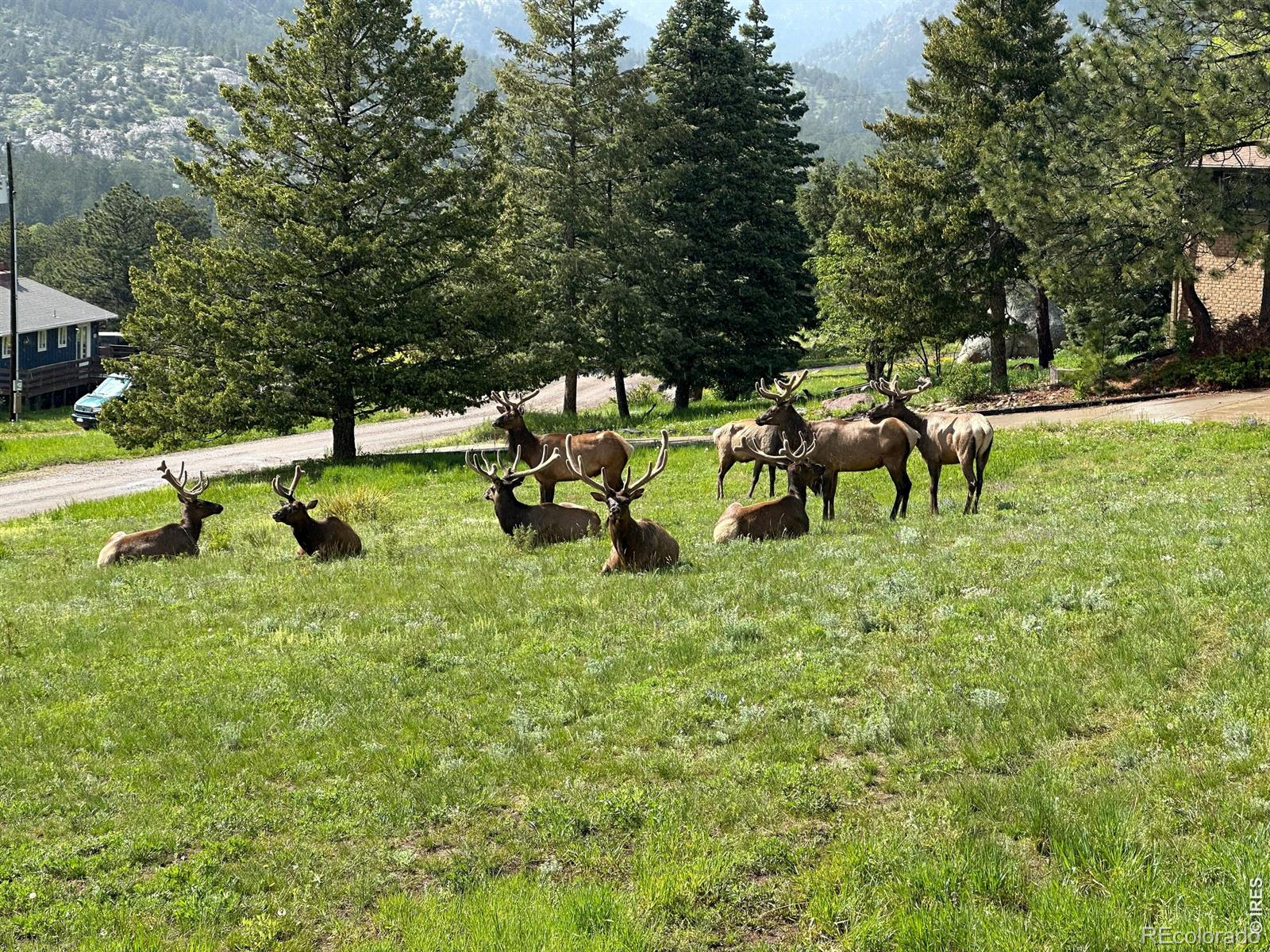 48 Button Rock Road Lyons CO 80540