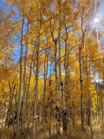 259 Bordenville Road Jefferson CO 80456