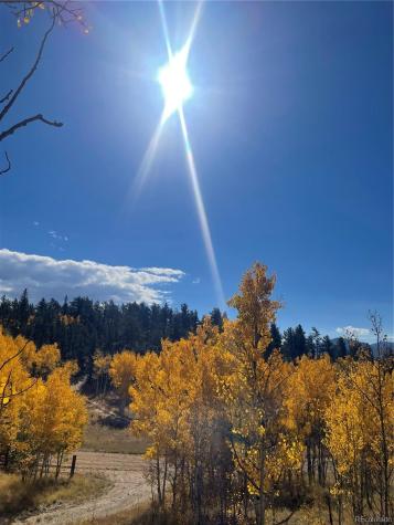 259 Bordenville Road Jefferson CO 80456