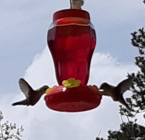 259 Bordenville Road Jefferson CO 80456