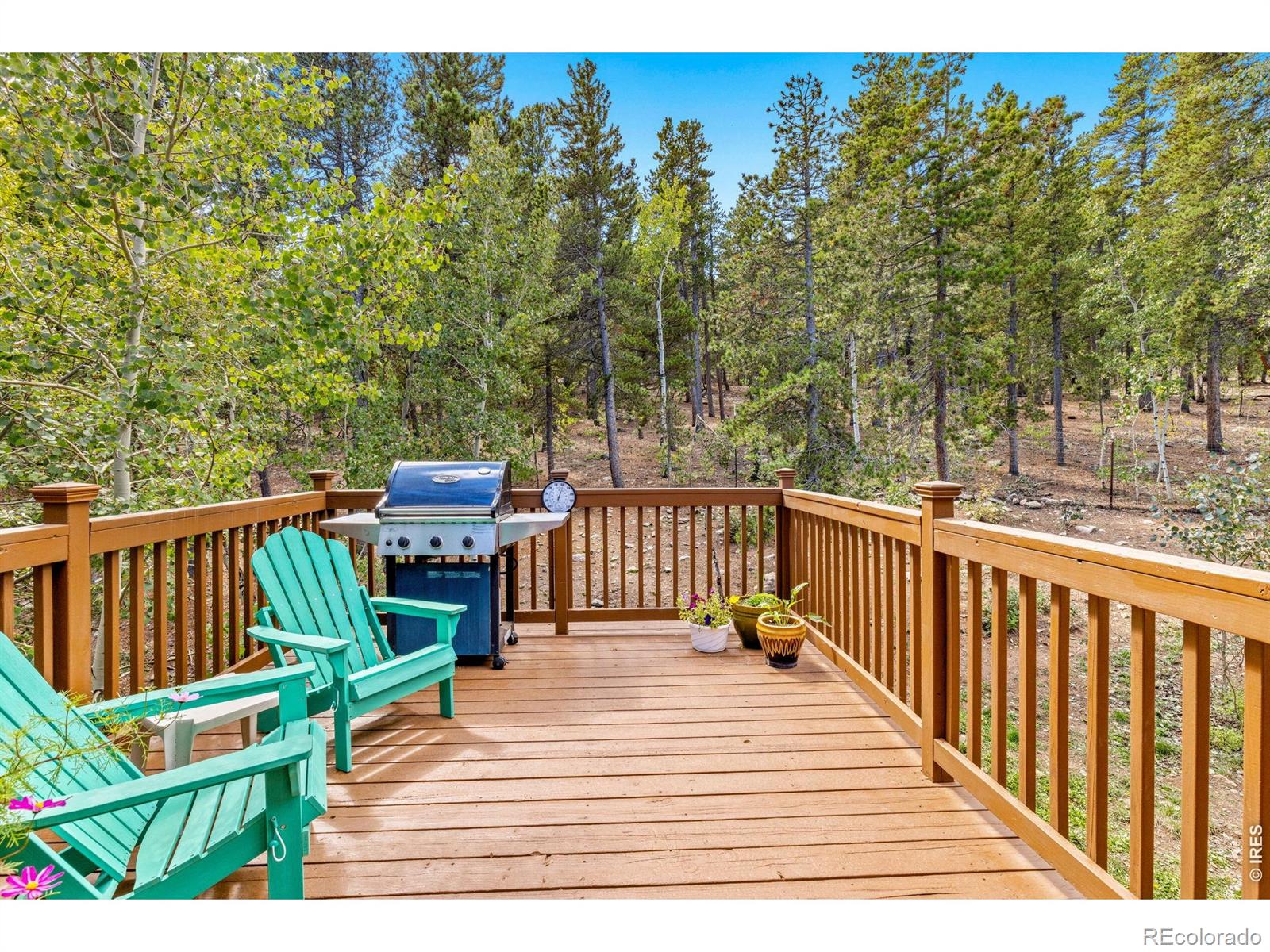 798 S Dory Lakes Drive Black Hawk CO 80422