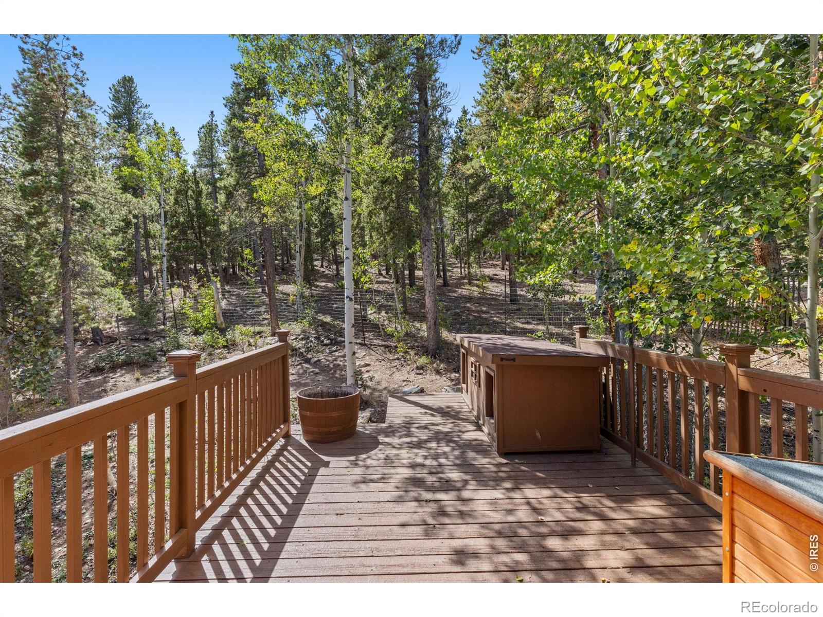 798 S Dory Lakes Drive Black Hawk CO 80422