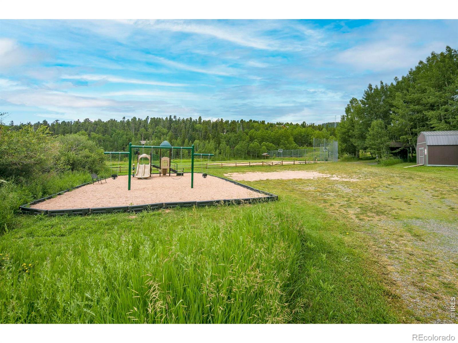 798 S Dory Lakes Drive Black Hawk CO 80422