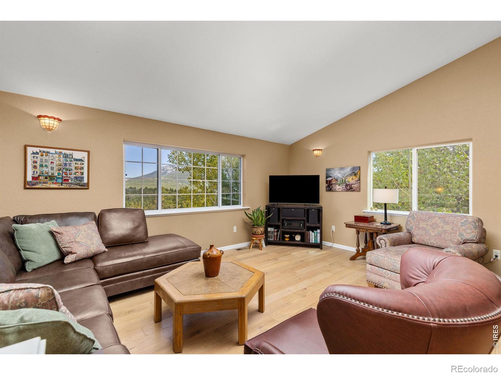 798 S Dory Lakes Drive Black Hawk CO 80422