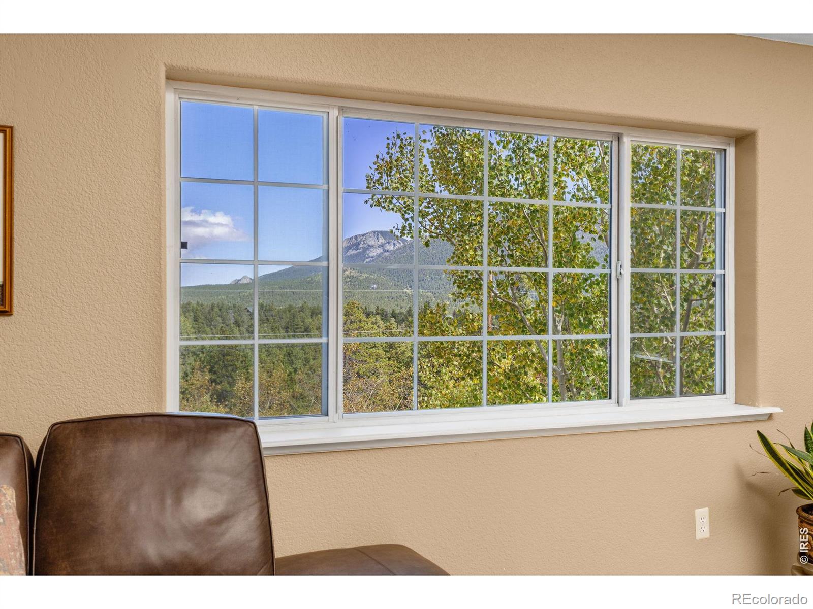 798 S Dory Lakes Drive Black Hawk CO 80422