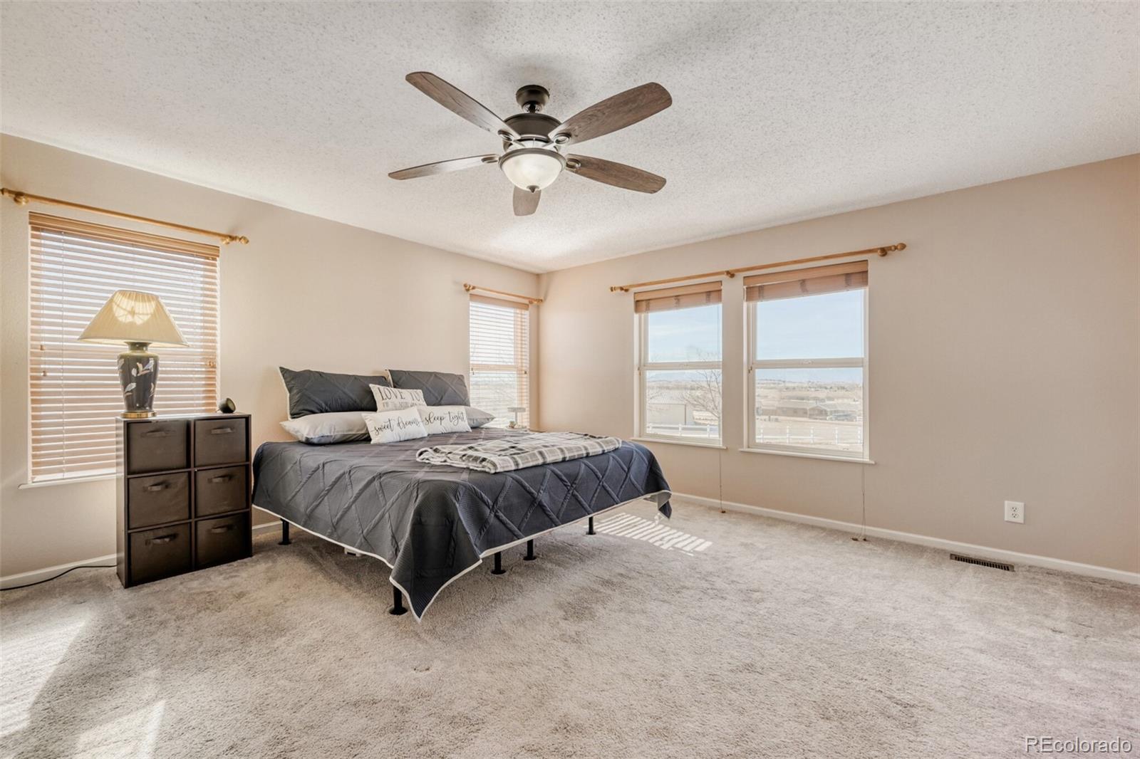 7055 Buckboard Drive Peyton CO 80831