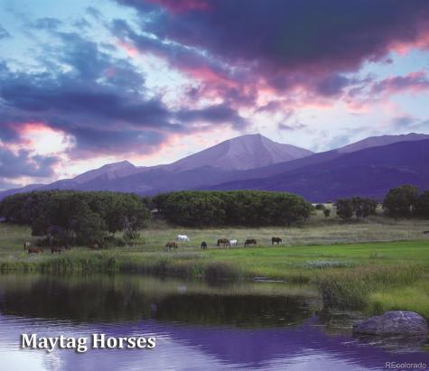 1768 Running Bear Cotopaxi CO 81223