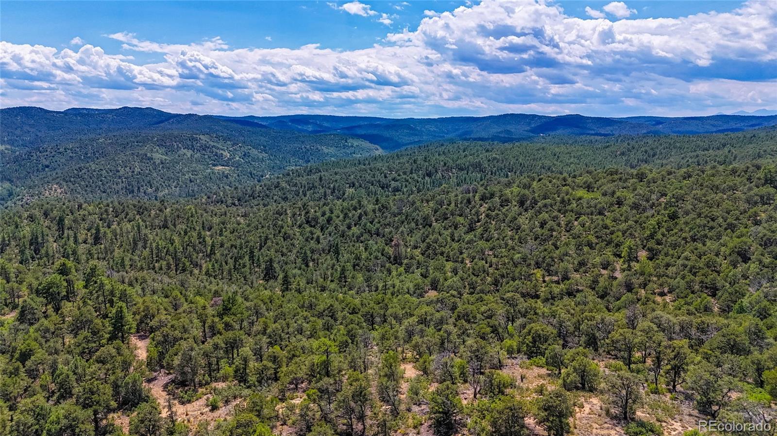 31300 Timber Canyon Road Trinidad CO 81082